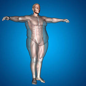 超重的人体内的插图图片