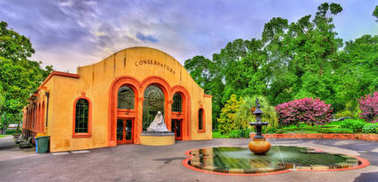 在墨尔本,澳大利亚的菲茨罗伊温室花园 在墨尔本,澳大利亚的菲茨罗伊温室花园