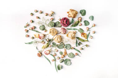 心做的米色玫瑰和綠色的樹葉圖片