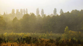  落在秋天风景照片微股票上的浓雾