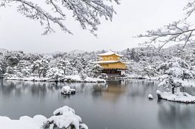 禅宗寺金阁寺与雪落图片