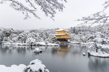 禅宗寺金阁寺与雪落图片