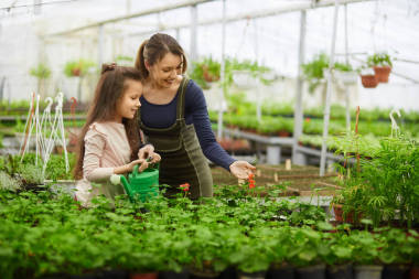 母亲和女儿在温室中的植物的生长