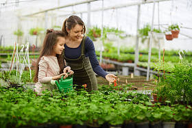 母亲和女儿在温室中的植物的生长