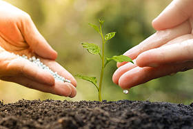 培育和浇灌植物的人图片