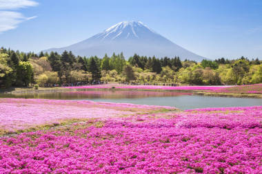 山富士風(fēng)景