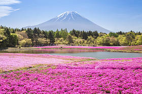 山富士风景