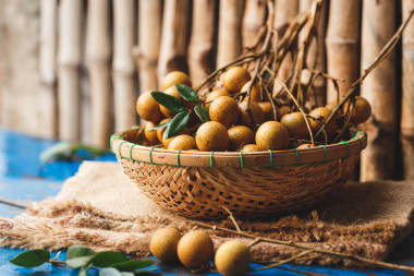 新鮮龍眼果實(shí)