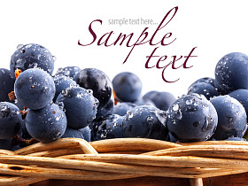 精选的新鲜酸橙和柠檬