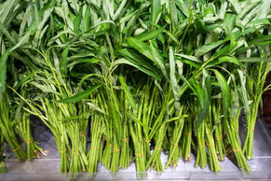 泰国市场上的水杨树