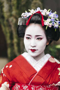 在祗园舞妓艺妓的肖像