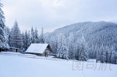 小木屋矗立在森林