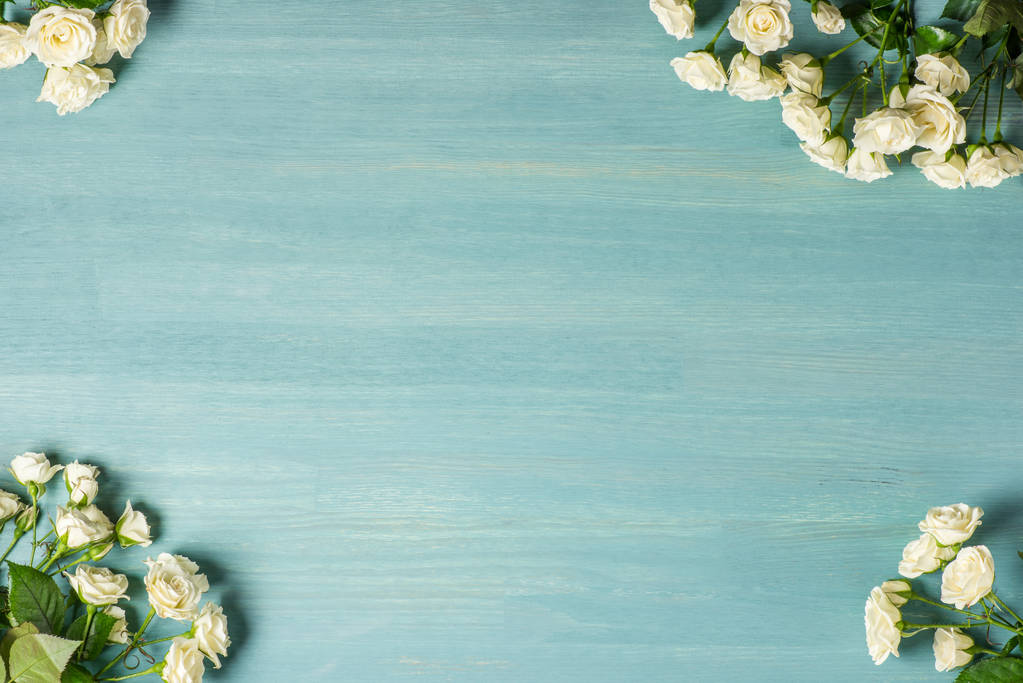 美丽的白玫瑰图片