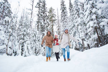 在冬季森林中的朋友
