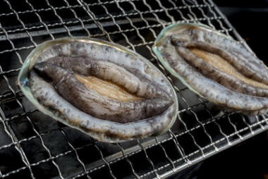 新鮮的原料鮑魚服務(wù)成分照片