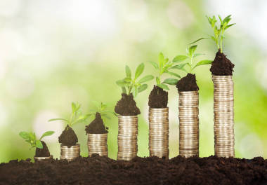 在堆疊硬幣上生長的植物