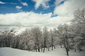 美丽的冬天风景图片