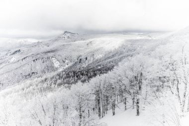 美丽的冬天风景图片