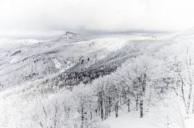 美丽的冬天风景图片