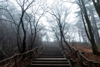 黄山的风景
