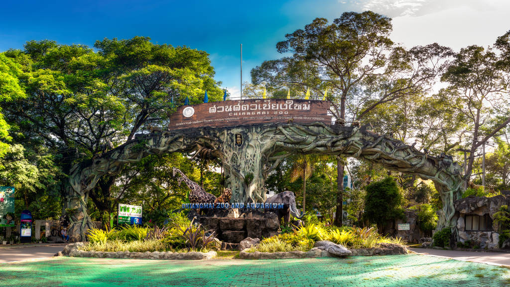 清迈动物园 清迈动物园