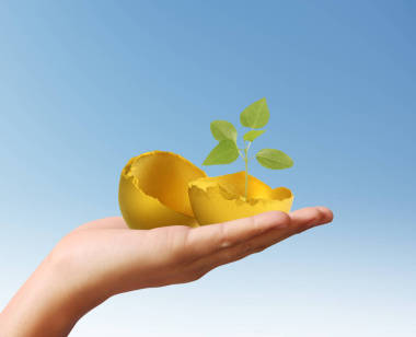 持有的金蛋图片