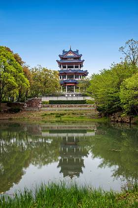 无锡太湖鼋头渚公园樱花园水