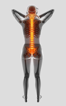 3d 插图的女性感觉背部疼痛