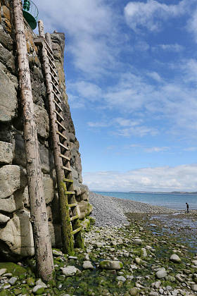 挑战与小图和大梯子的隐喻