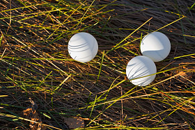 在森林里三个乒乓球照片