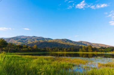 蓮花塘、 山 .圖片