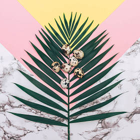 复活节快乐的鸡蛋