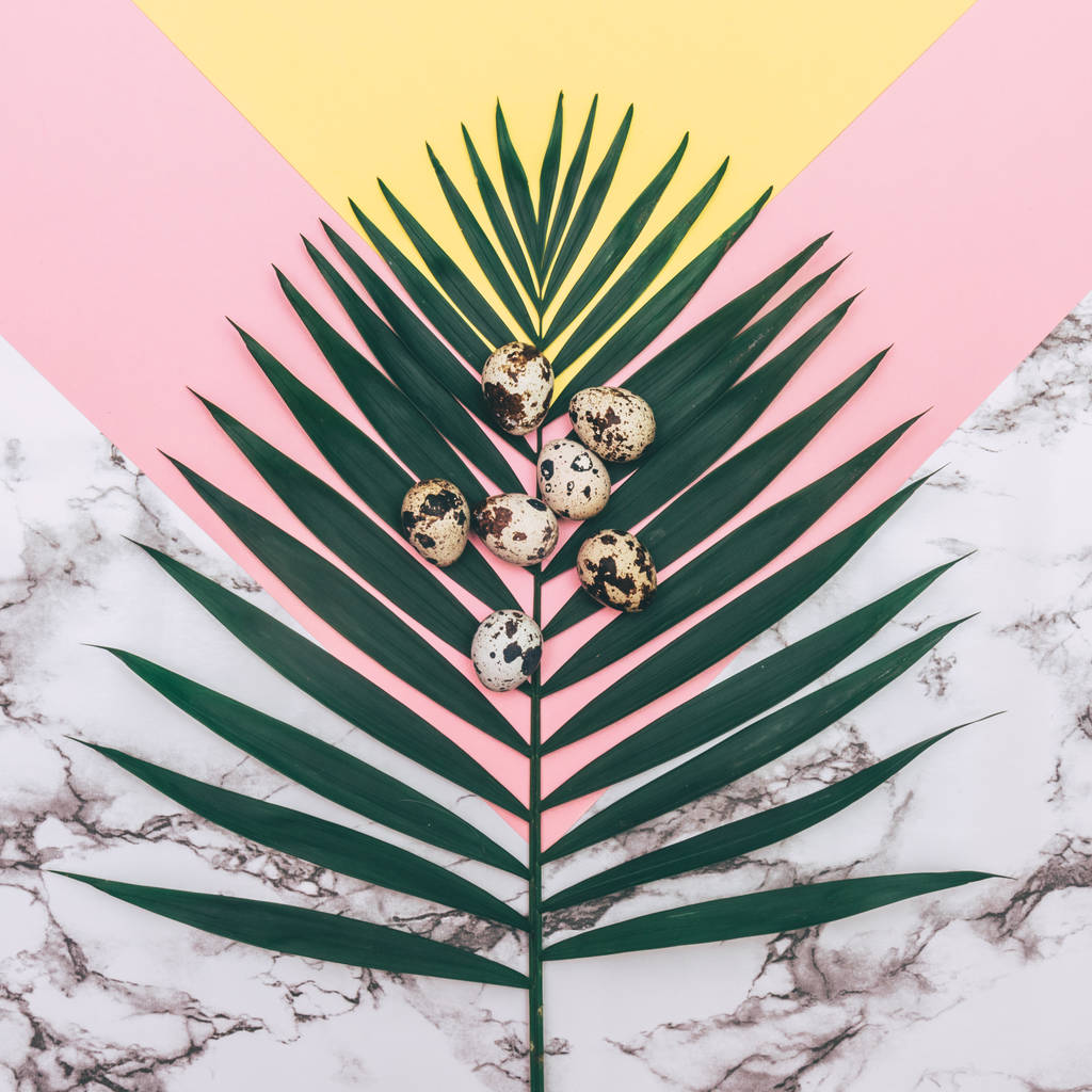 复活节快乐的鸡蛋 复活节快乐的鸡蛋