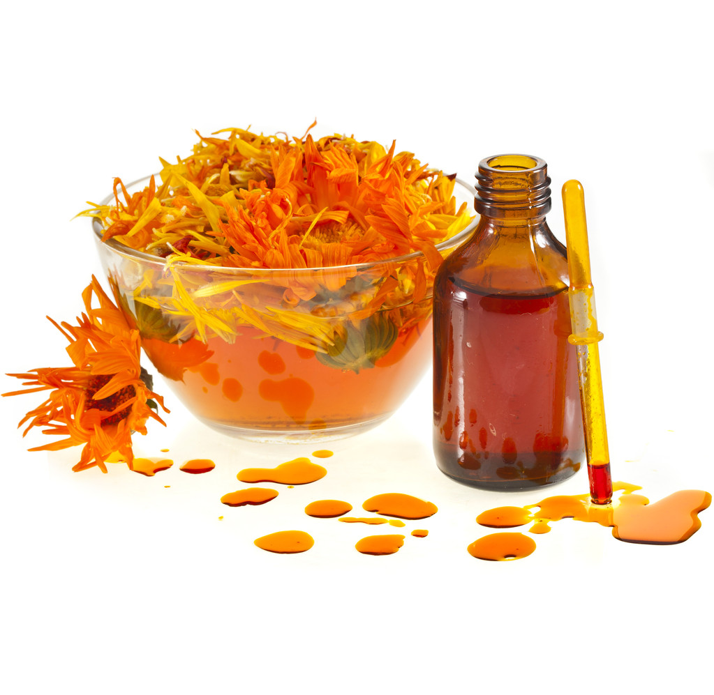 在玻璃和芳香疗法精油隔离白色背景中的草药金盏花 在玻璃和芳香疗法精油隔离白色背景中的草药金盏花