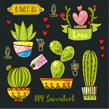 仙人掌與多肉植物在花盆