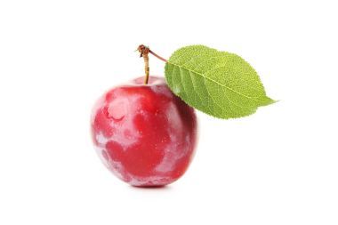 新鲜美味的梅花图片