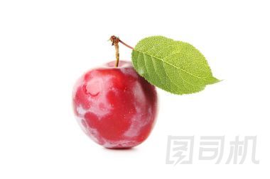 新鮮美味的梅花圖片