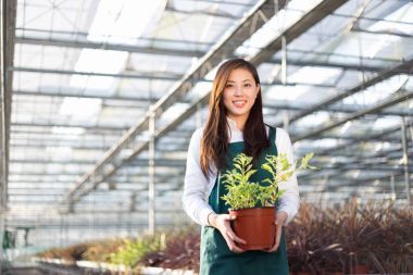 年輕的亞洲女子工程在溫室