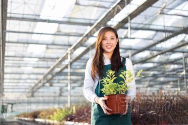年輕的亞洲女子工程在溫室