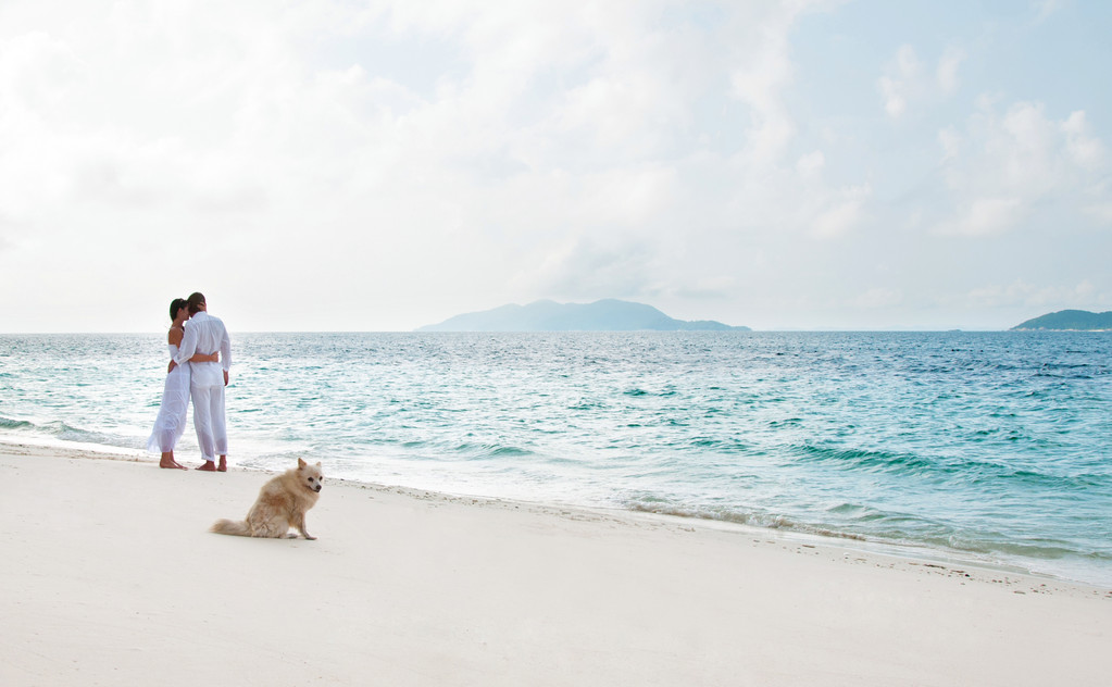 浪漫的年轻情侣在海边上的图片