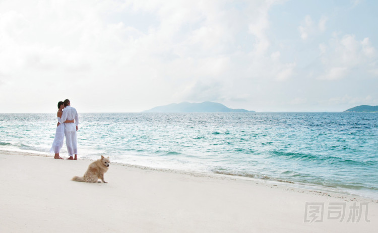 浪漫的年輕情侶在海邊上的圖片