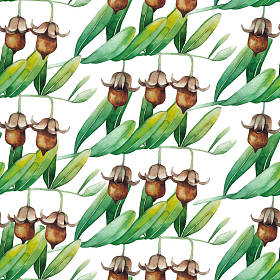 水彩荷荷巴模式