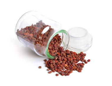 五味子，玉蘭漿果，五風(fēng)味果，吳衛(wèi)