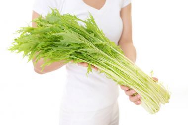 女人控股蔬菜圖片