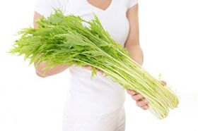 女人控股蔬菜图片