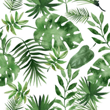 水彩热带叶图片