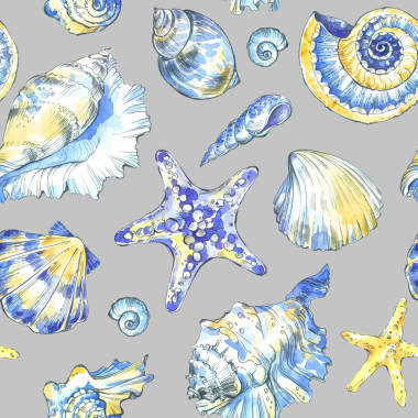 手绘的贝壳模式.图片
