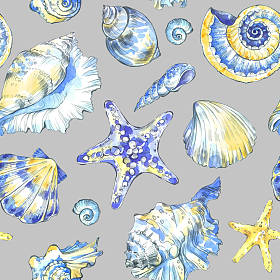 手绘的贝壳模式.图片