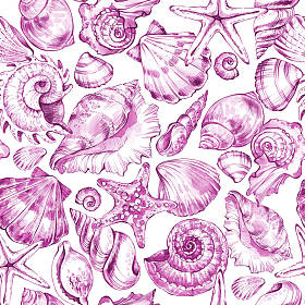 手绘的贝壳模式