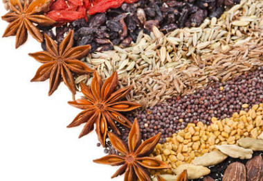 在白色的印度不同香料